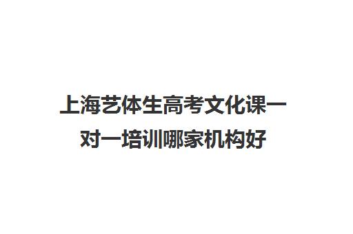 上海艺体生高考文化课一对一培训哪家机构好(上海艺考培训机构排名)