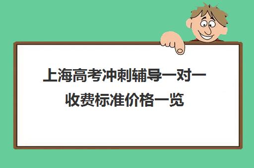 上海高考冲刺辅导一对一收费标准价格一览(上海高中一对一补课多少钱一小时)