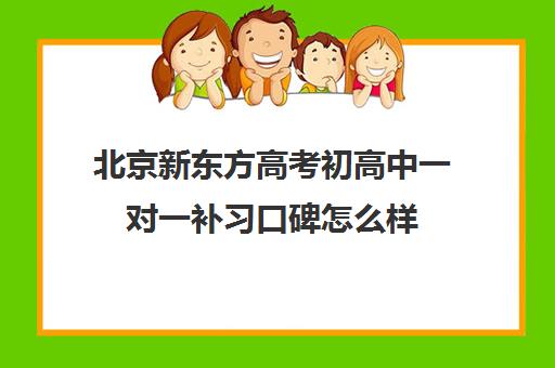 北京新东方高考初高中一对一补习口碑怎么样