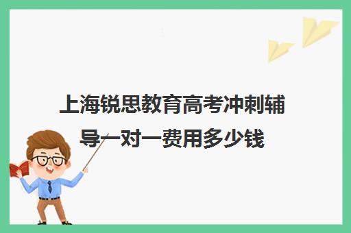 上海锐思教育高考冲刺辅导一对一费用多少钱（上海高中辅导机构排名）