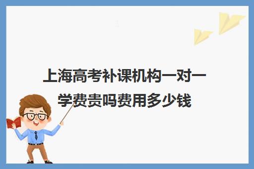 上海高考补课机构一对一学费贵吗费用多少钱(北京数学补课一对一辅导学费)