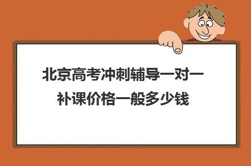 北京高考冲刺辅导一对一补课价格一般多少钱(高三补课辅导班)