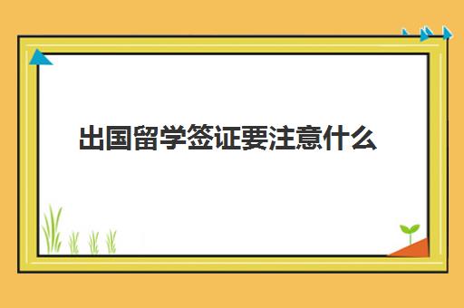 出国留学签证要注意什么(办理出国签证需要什么材料)