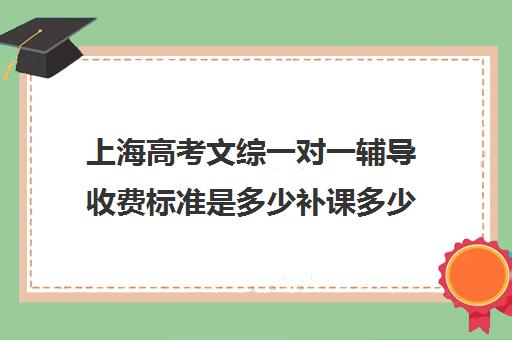 上海高考文综一对一辅导收费标准是多少补课多少钱一小时(上海高中补课多少钱一小时)