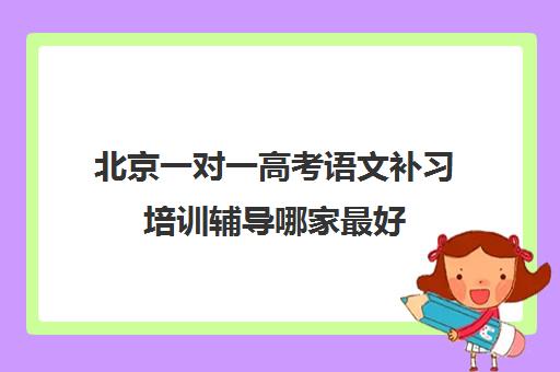 北京一对一高考语文补习培训辅导哪家最好