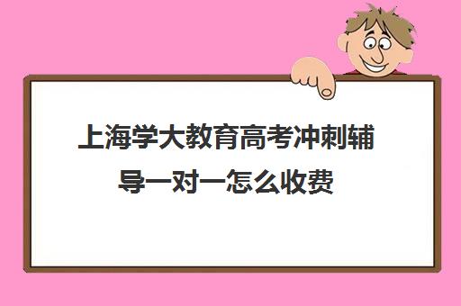 上海学大教育高考冲刺辅导一对一怎么收费（精锐一对一收费标准）