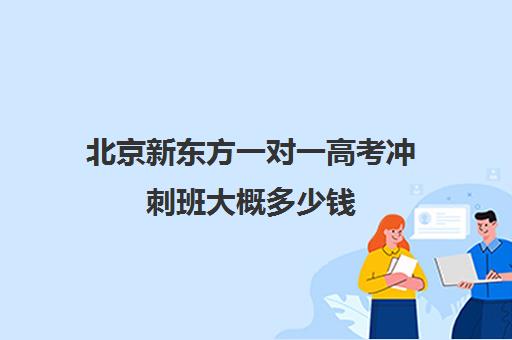 北京新东方一对一高考冲刺班大概多少钱（新东方高三全日制价格）