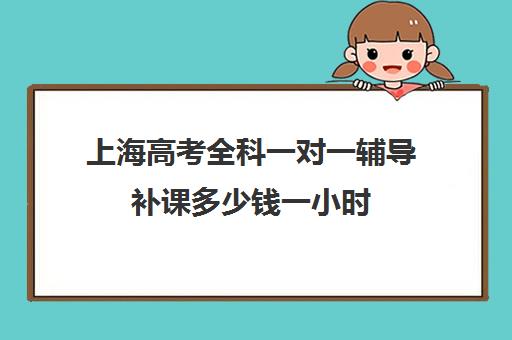 上海高考全科一对一辅导补课多少钱一小时(初三补课一对一价格)