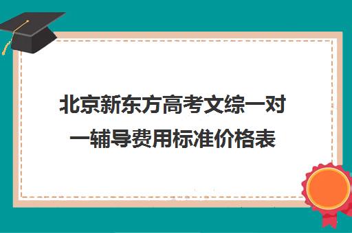 北京新东方高考文综一对一辅导费用标准价格表（新东方高考培训机构官网）