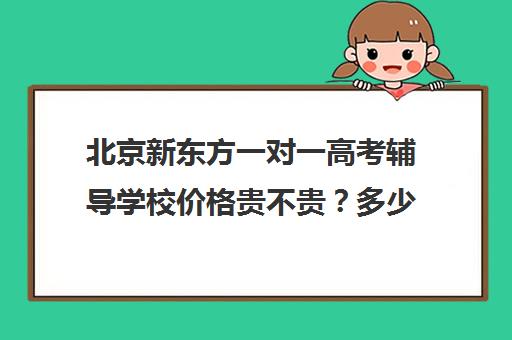 北京新东方一对一高考辅导学校价格贵不贵？多少钱一年（一对一50元一个小时贵不贵）