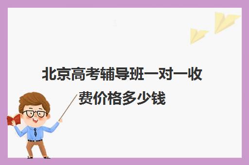 北京高考辅导班一对一收费价格多少钱(一对一补课收费标准500)