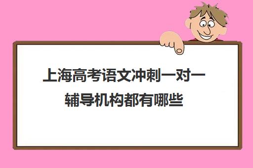 上海高考语文冲刺一对一辅导机构都有哪些(哪个机构一对一辅导好)