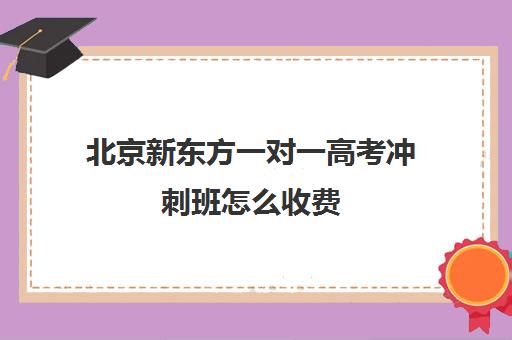 北京新东方一对一高考冲刺班怎么收费（新东方一对一怎么样）