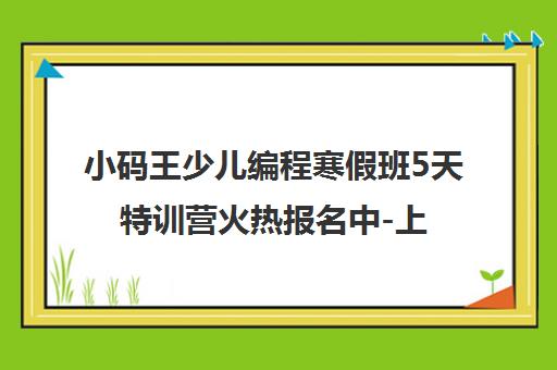 小码王少儿编程寒假班5天特训营火热报名中-上海