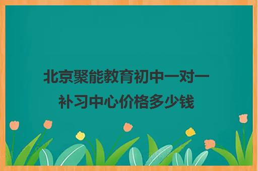 北京聚能教育初中一对一补习中心价格多少钱