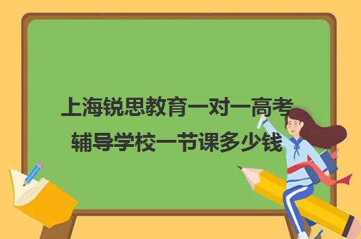 上海锐思教育一对一高考辅导学校一节课多少钱（上海补课机构排名）