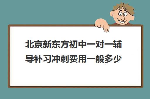 北京新东方初中一对一辅导补习冲刺费用一般多少钱