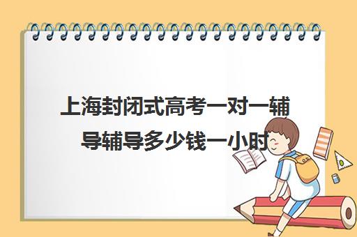 上海封闭式高考一对一辅导辅导多少钱一小时(家教辅导一对一收费)