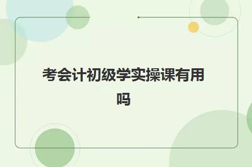 考会计初级学实操课有用吗(初级会计自己学能过吗)