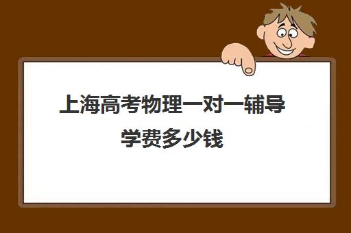 上海高考物理一对一辅导学费多少钱(辅导班收费价目表)