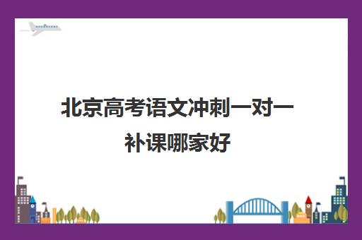 北京高考语文冲刺一对一补课哪家好(高考线上辅导机构有哪些比较好)