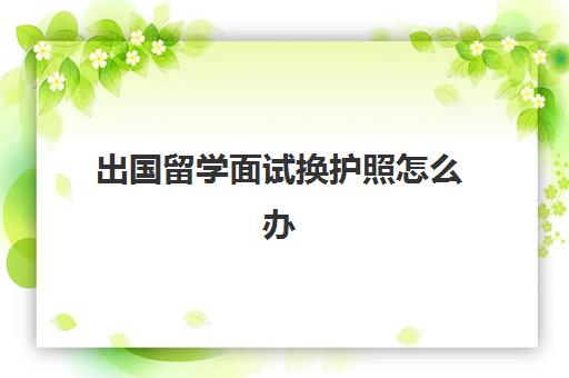 出国留学面试换护照怎么办(出国办护照需要什么材料)