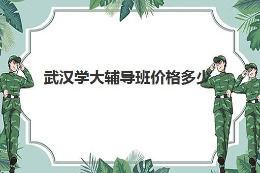 武汉学大辅导班价格多少(武汉比较好的辅导机构)