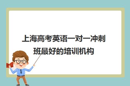 上海高考英语一对一冲刺班最好的培训机构(上海比较好的补课机构)