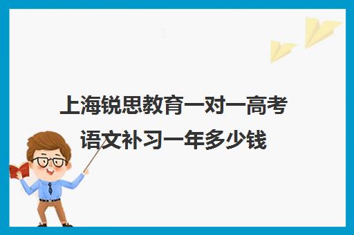 上海锐思教育一对一高考语文补习一年多少钱