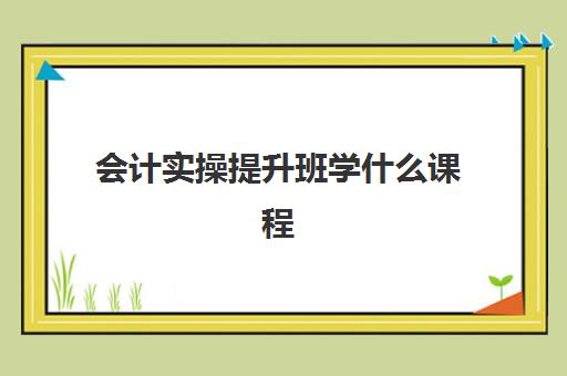 会计实操提升班学什么课程(学财会要学哪些课程)