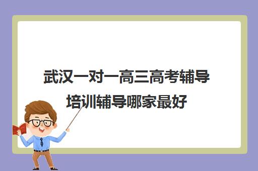 武汉一对一高三高考辅导培训辅导哪家最好(武汉比较好的辅导机构)