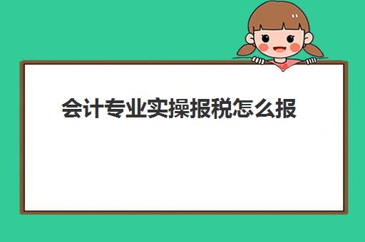 会计专业实操报税怎么报(做账报税流程详细步骤)