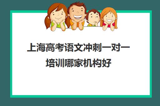 上海高考语文冲刺一对一培训哪家机构好(高考培训班哪家好)