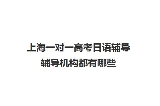 上海一对一高考日语辅导辅导机构都有哪些(网络家教一对一辅导日语)