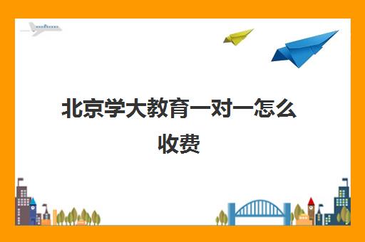 北京学大教育一对一怎么收费（一对一辅导收费）