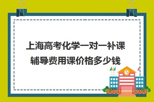 上海高考化学一对一补课辅导费用课价格多少钱(上海高考补课机构排名)