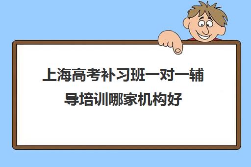 上海高考补习班一对一辅导培训哪家机构好