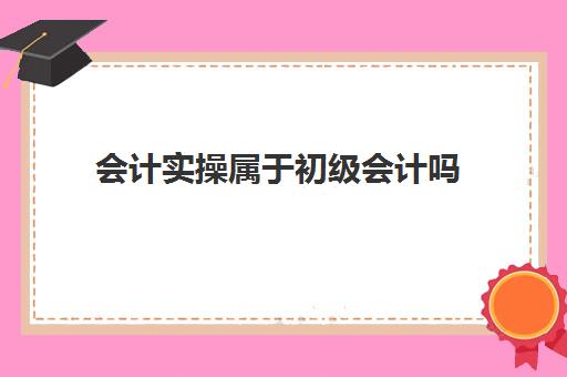 会计实操属于初级会计吗(初级会计属于技能还是专业技术)