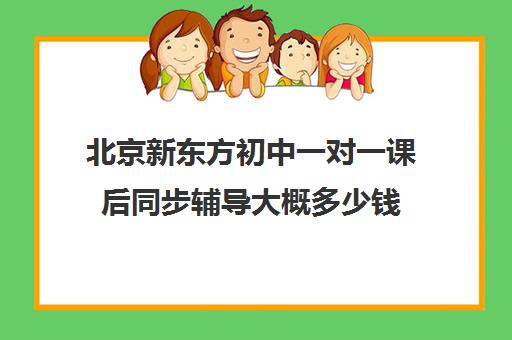 北京新东方初中一对一课后同步辅导大概多少钱（语文一对一的课应该怎么上）