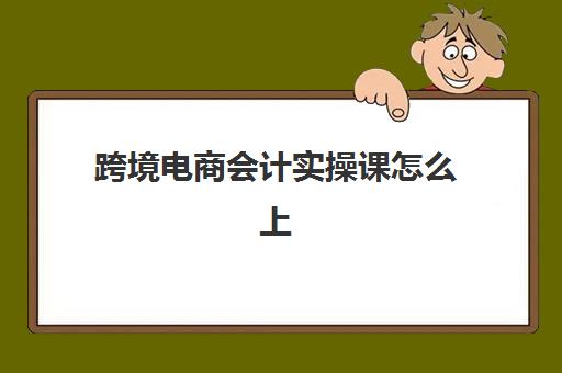 跨境电商会计实操课怎么上(跨境电商会计做账流程)