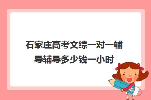 石家庄高考文综一对一辅导辅导多少钱一小时(高三网上补课一对一平台哪个好)