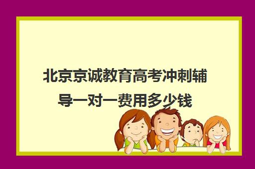 北京京诚教育高考冲刺辅导一对一费用多少钱（一对一辅导怎么辅导）