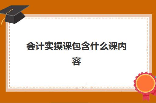 会计实操课包含什么课内容(会计实训的基本内容)