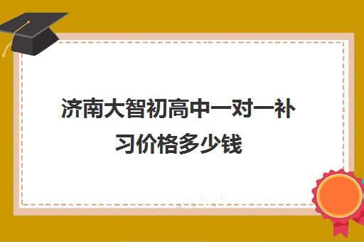 济南大智初高中一对一补习价格多少钱