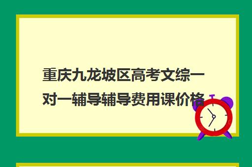 重庆九龙坡区高考文综一对一辅导辅导费用课价格多少钱(文综补课是否有必要)