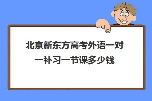 北京新东方高考外语一对一补习一节课多少钱