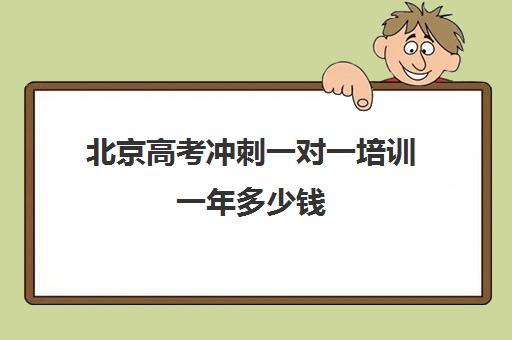 北京高考冲刺一对一培训一年多少钱(高考一对一辅导机构哪个好)