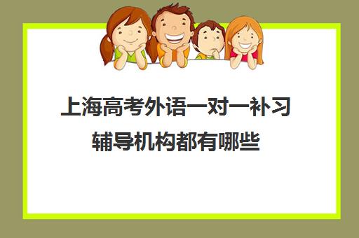 上海高考外语一对一补习辅导机构都有哪些