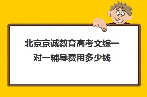 北京京诚教育高考文综一对一辅导费用多少钱（高考一对一辅导机构哪个好）