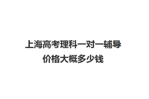 上海高考理科一对一辅导价格大概多少钱(上海高考补课机构排名)